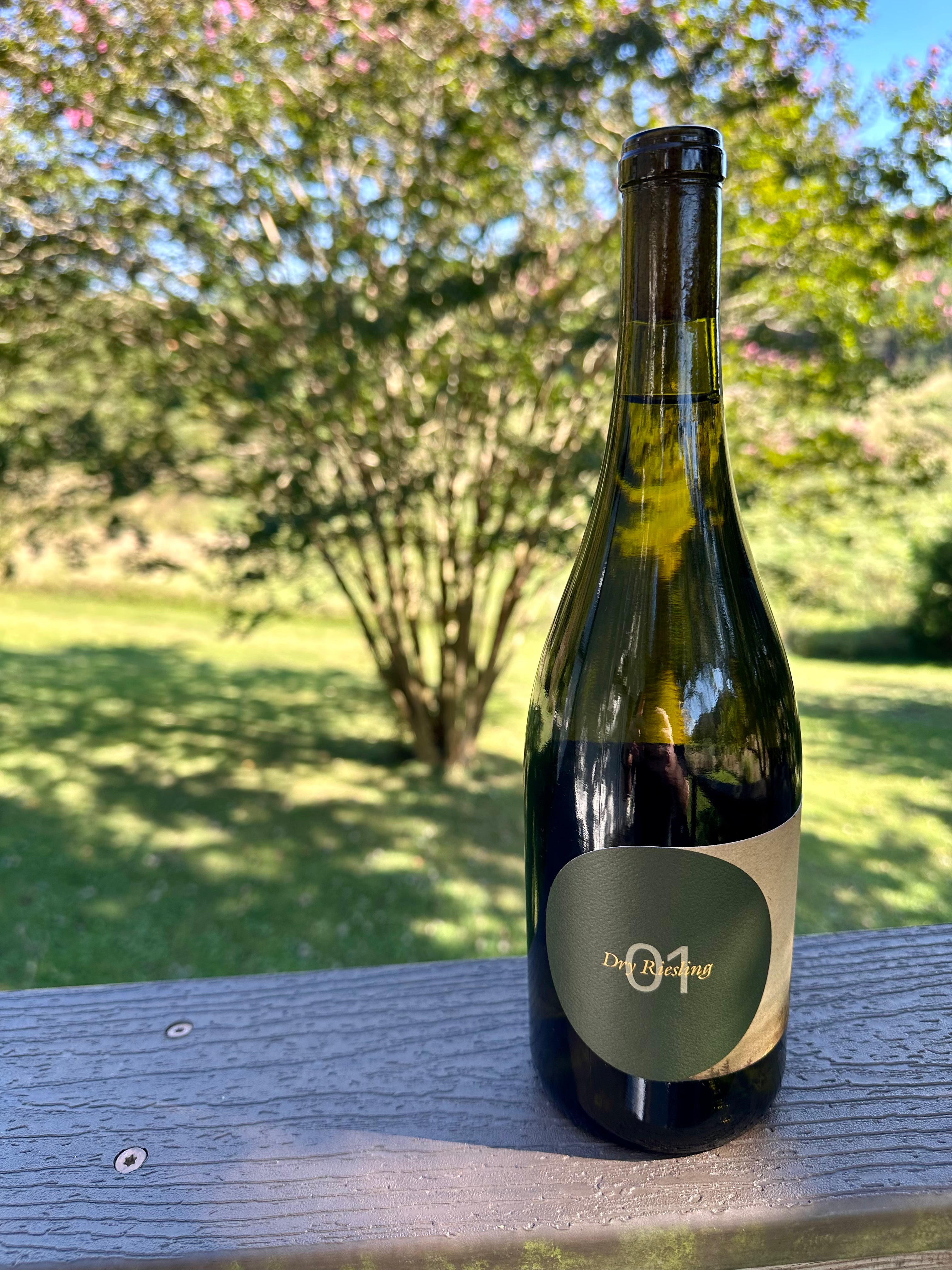 2024 Dry Riesling -Single Vineyard- Royal Slope Washington
