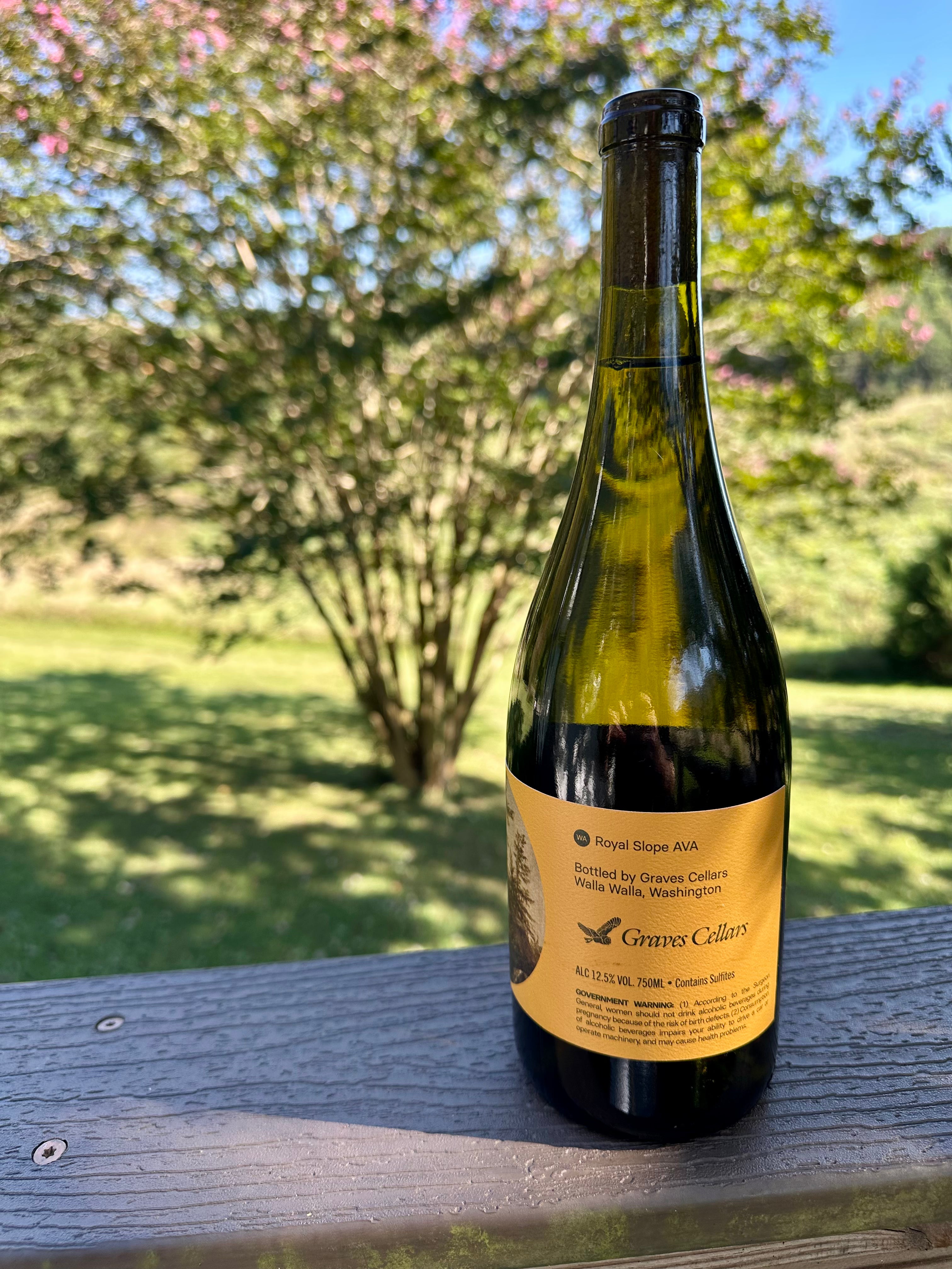 2024 Dry Riesling -Single Vineyard- Royal Slope Washington