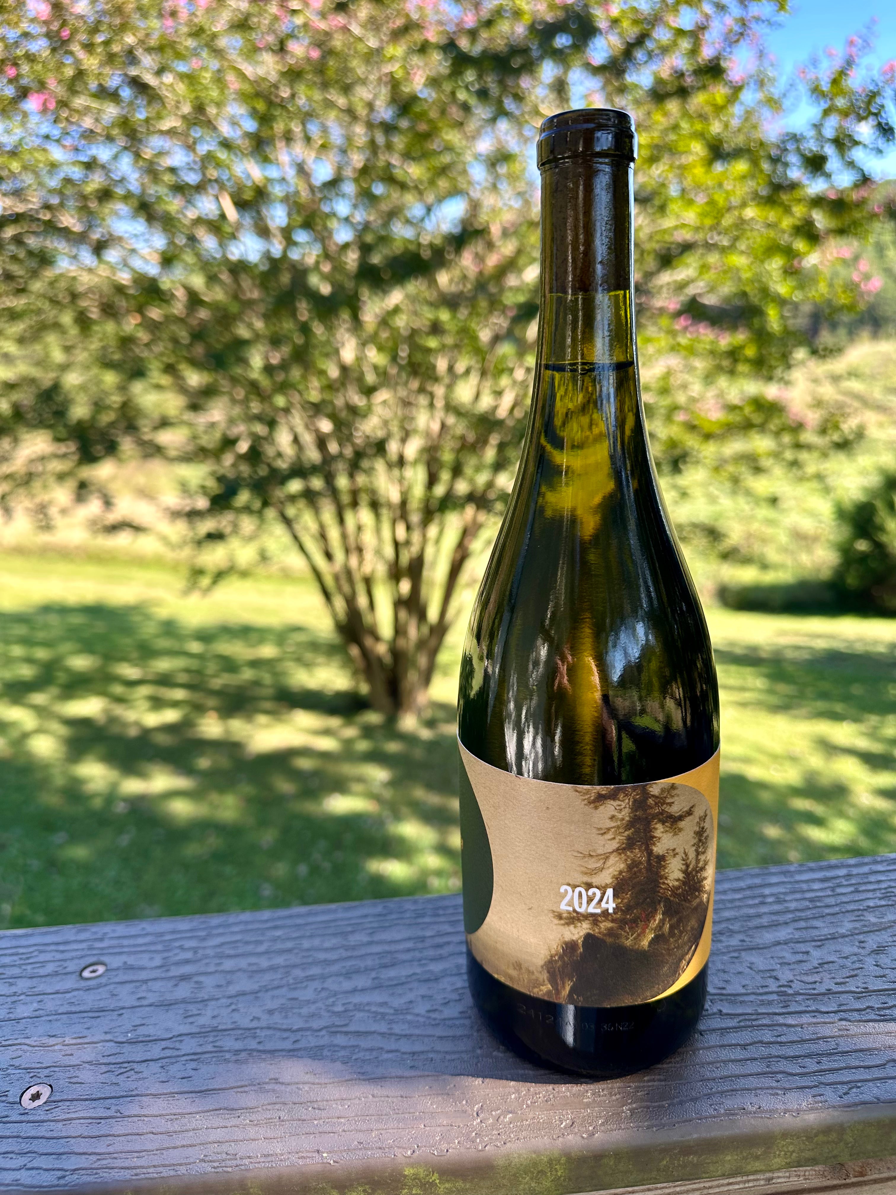 2024 Dry Riesling -Single Vineyard- Royal Slope Washington